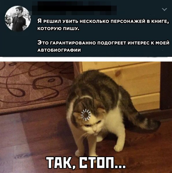 Шредингер Мем