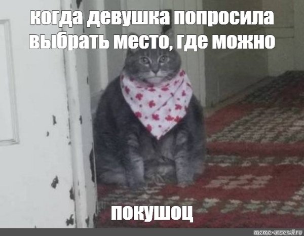 Мем котик ждет пиццу