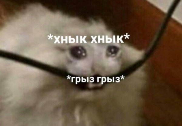 Хнык хнык Мем