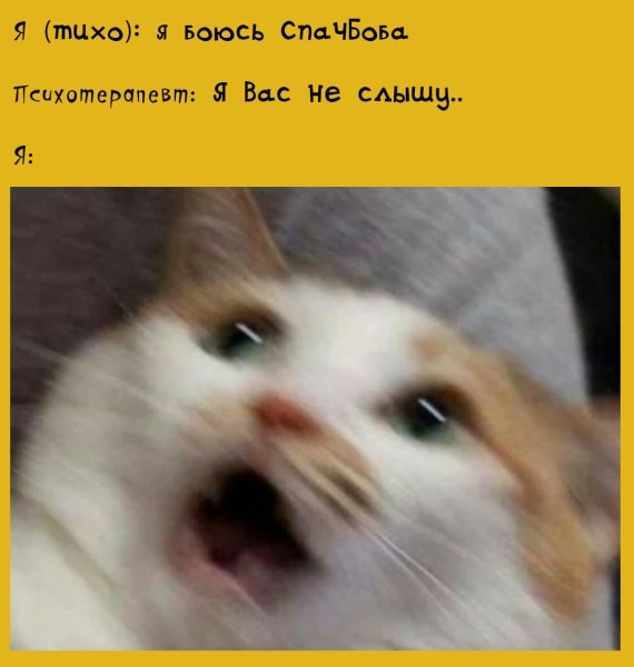Страшные мемы с котами