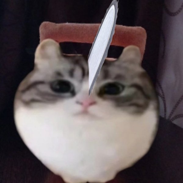 Munchkin Komaru кот