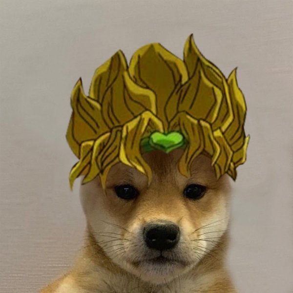 Dogwifhat Jojo