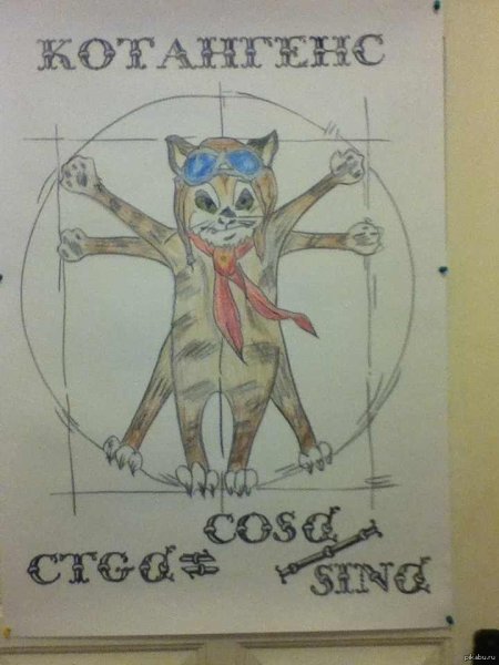 Котангенс кот