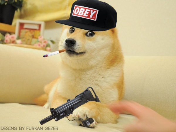 Крутая собака