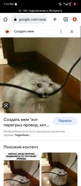 Кот кусает провод Мем