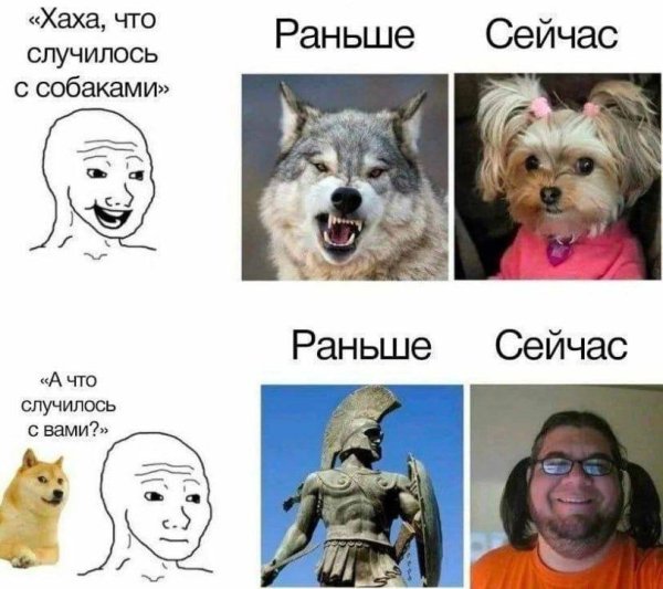 Собаки раньше и сейчас Мем