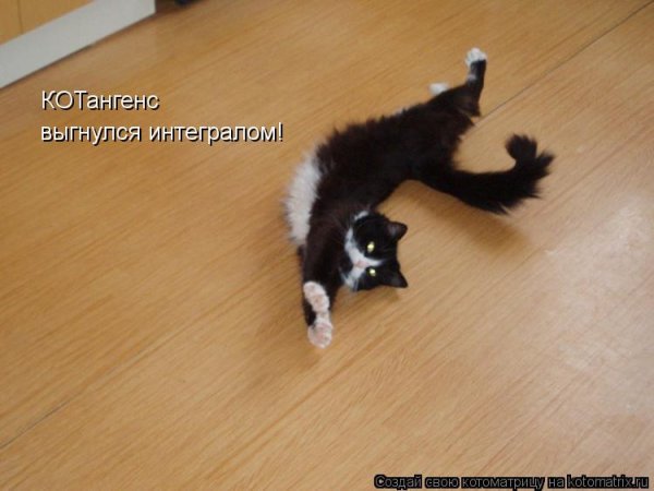 Котангенс Мем