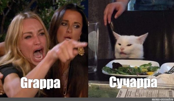 Мем две женщины орут на кота