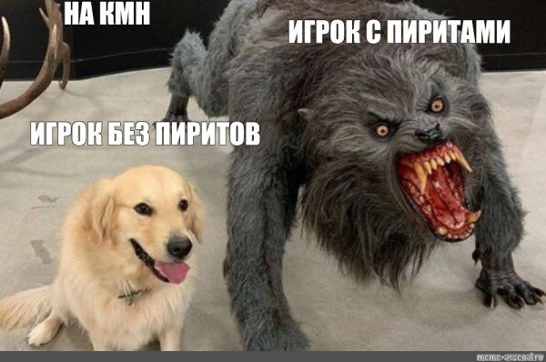 Пес Мем