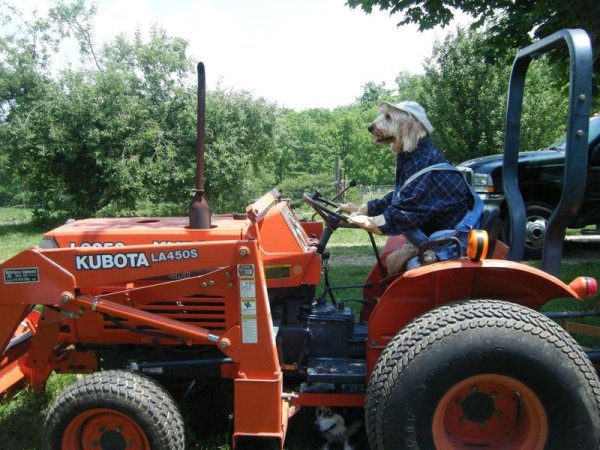 Kubota la525