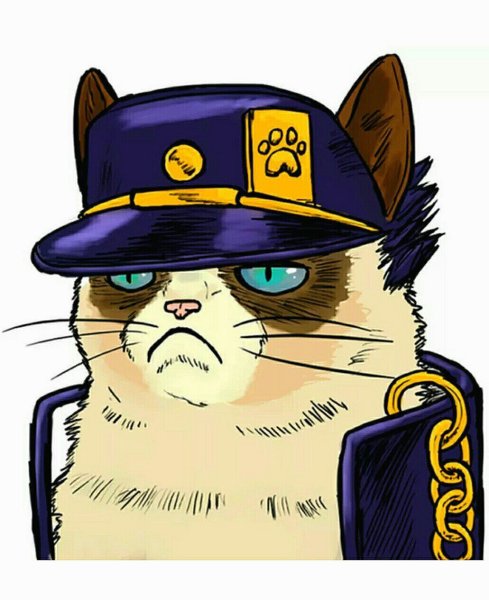 Кот Джотаро