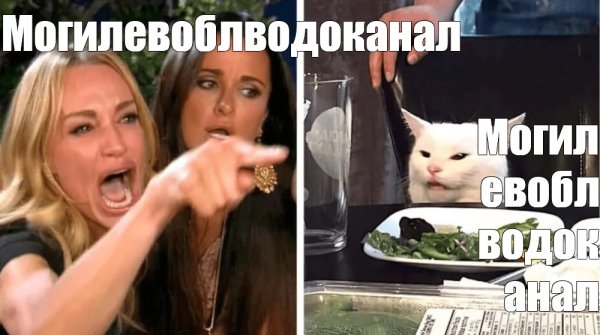 Мем кот и две девушки