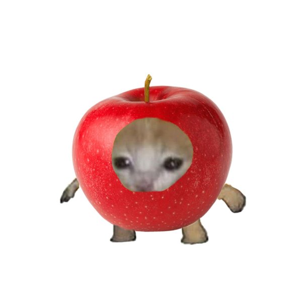 Кот в костюме яблока Мем