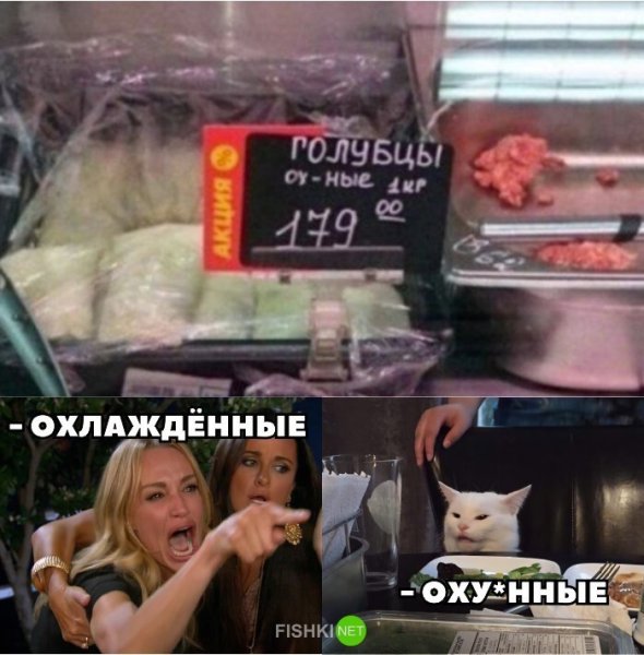 Мемы с котом и девушками