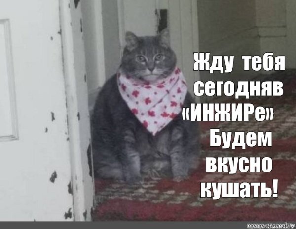 Толстый кот ждет Мем