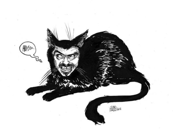 Владислав кошка