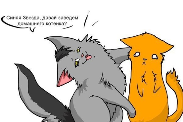 Коты Воители приколы