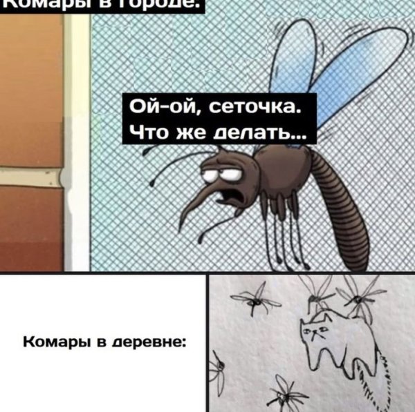 Комар Мем