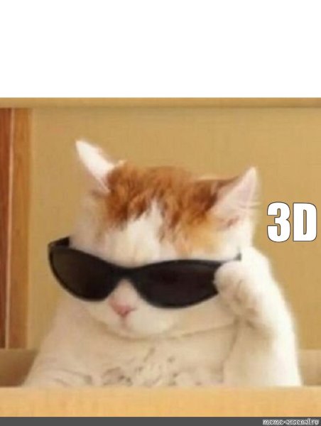 Котик в очках Мем