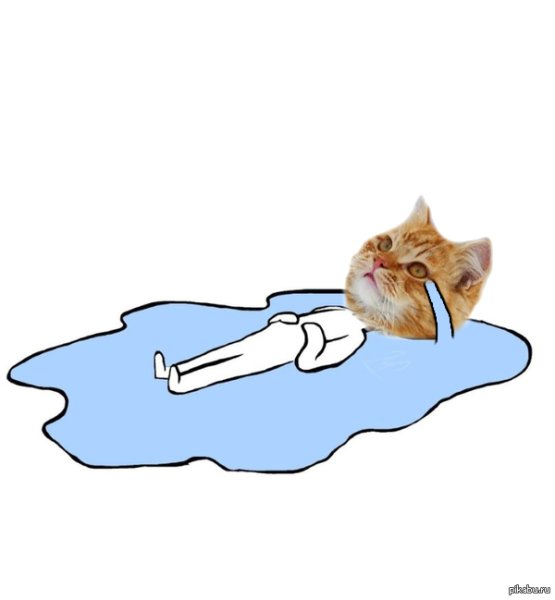 Котик в луже слез