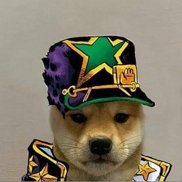 Джотаро Куджо собака