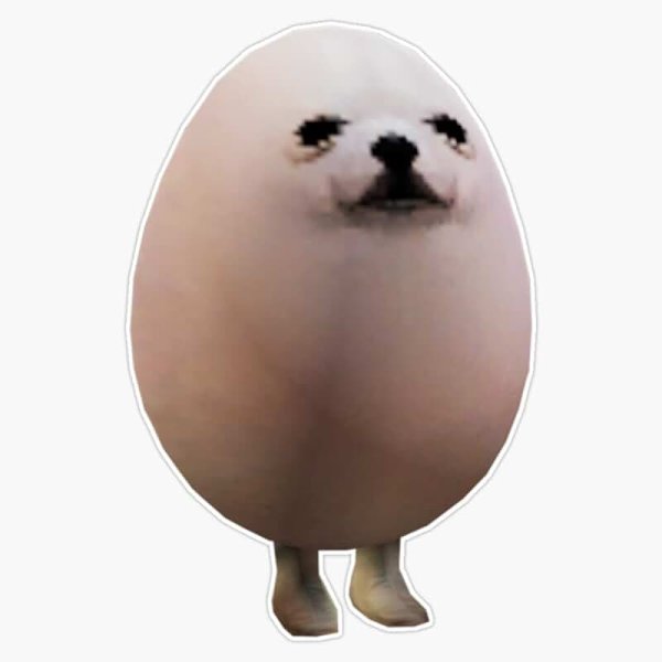 Egg Dog шпиц Корея