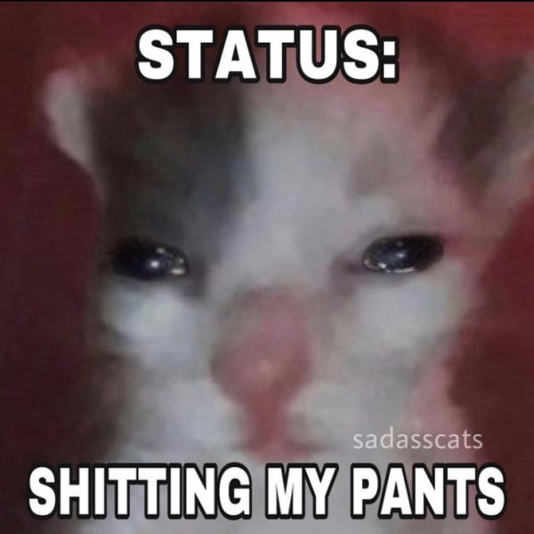 Котенок не выспался