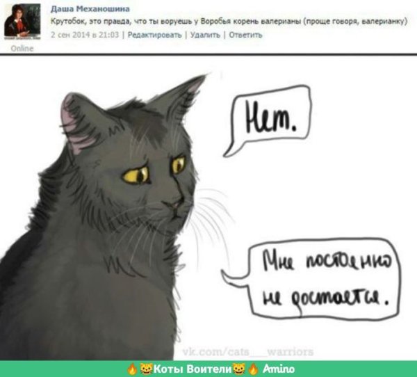 Коты Воители приколы