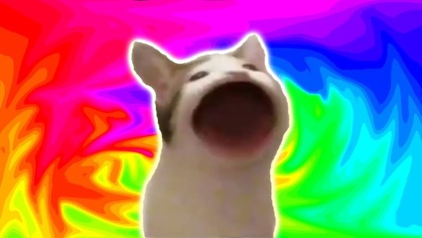 Кот с открытым ртом Мем в хорошем качестве