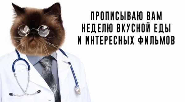 Котик медик