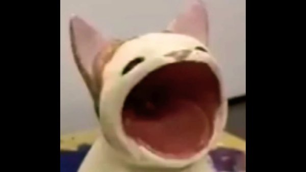 Котейка с большим ртом