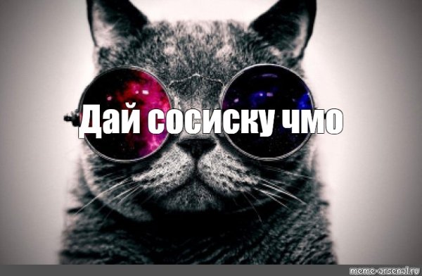 Кот в очках