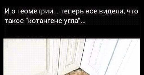 Котангенс угла кот в углу