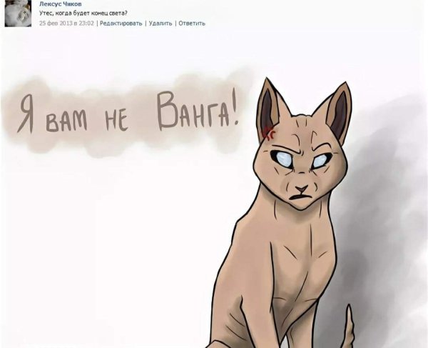 Коты Воители КВШНИКИ