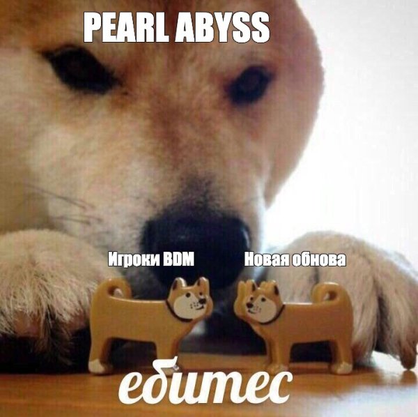 Сиба ину Мем ебитес