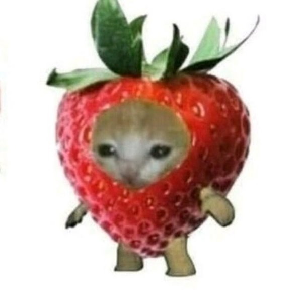 Котик в клубнике Мем ава