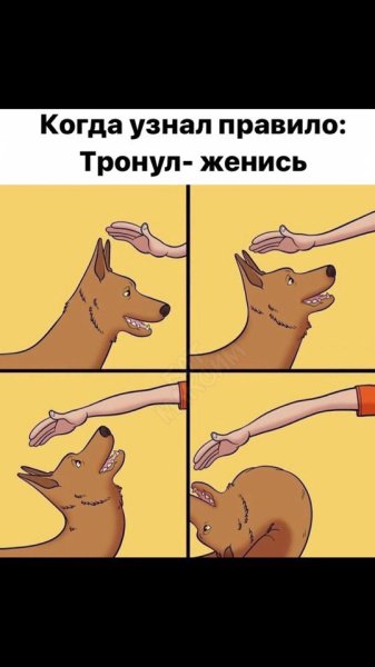 Смешные собаки мемы