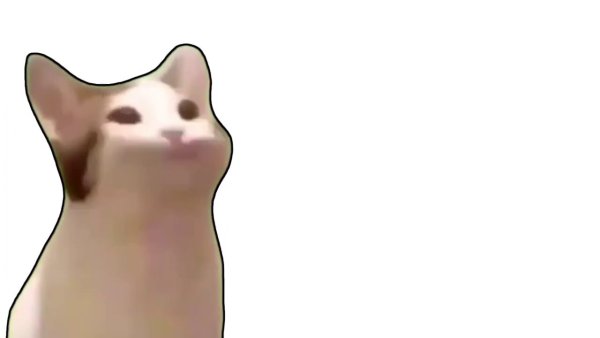 Кот с открытым ртом