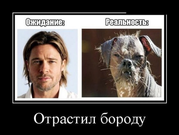 Демотиваторы про бороду