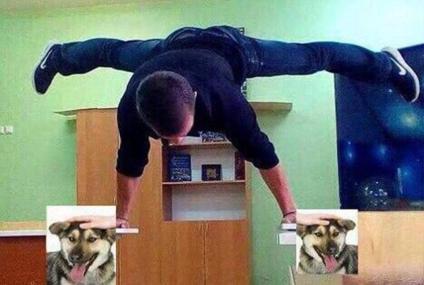 Рука гладит собаку Мем