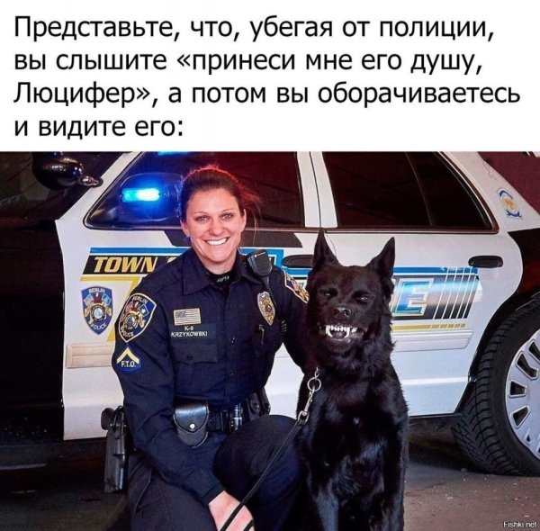 Люцифер принеси мне его душу собака