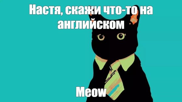 Кот в галстуке Мем без текста