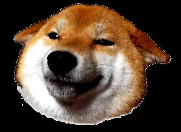 Акита ину Doge