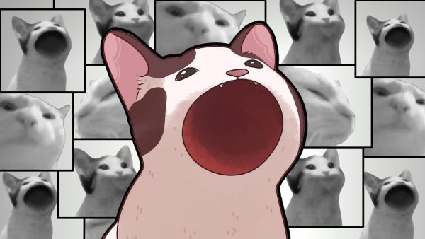 Поп кот нарисованный