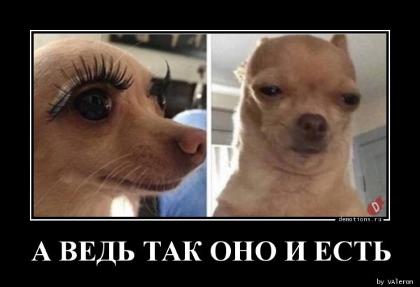 Я без ресниц прикол