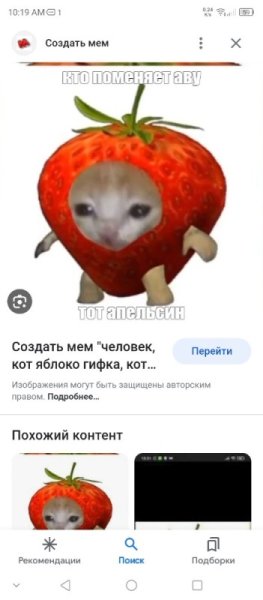 Котик яблоко Мем