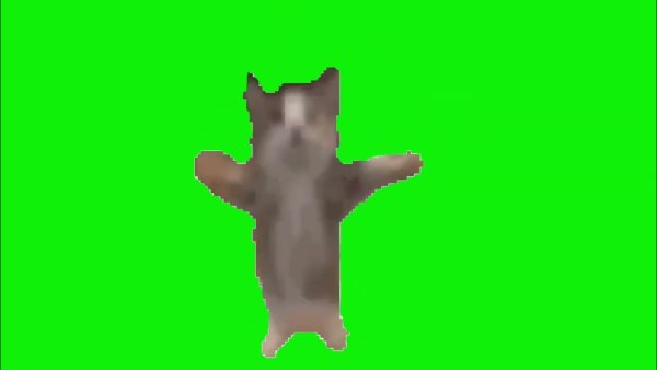 Танцующий кот на зеленом фоне