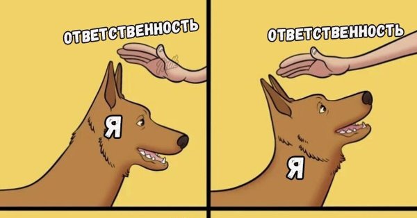 Мемы про собак комиксы