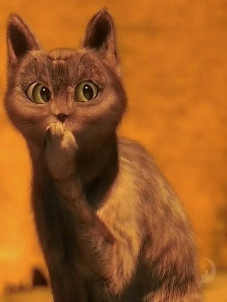 Кот из Шрека ОУ