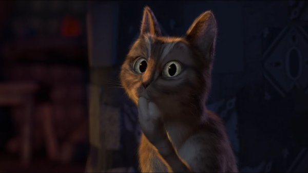 Кот из Шрека оууу